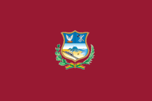 Bandera-de-Oruro